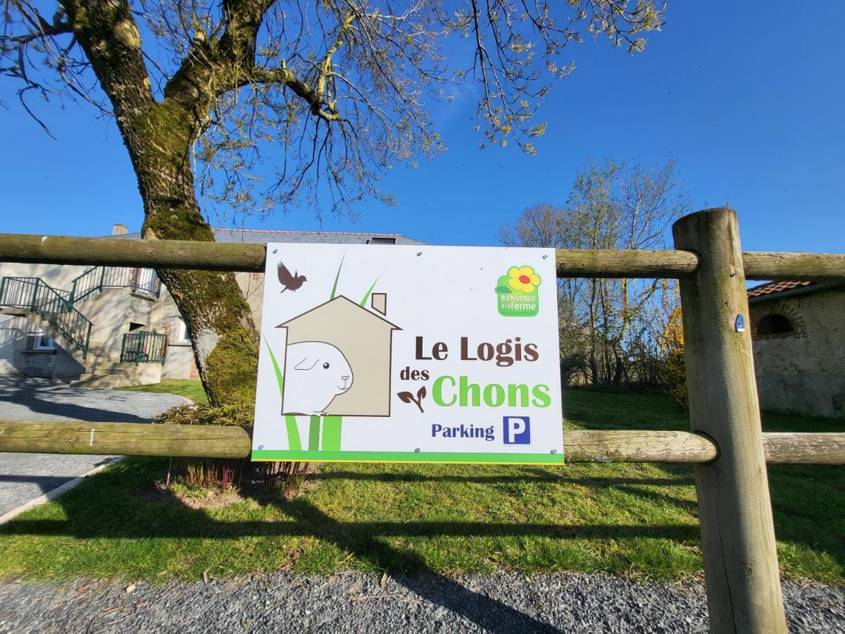 Le Logis des Chons à la campagne à Saint hilaire du Bois - Lys Haut Layon Le Plessis  Esterno foto